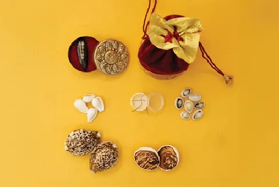 Shop - Sub Collection